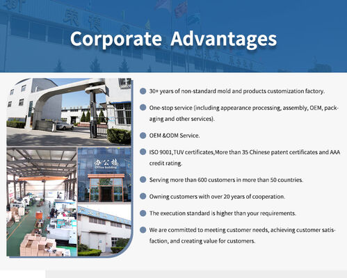 حرفه ای درب سفارشی لوازم جانبی قالب تزریقی سطح صاف اندازه دقیق برای قسمت های درب داخلی خارجی